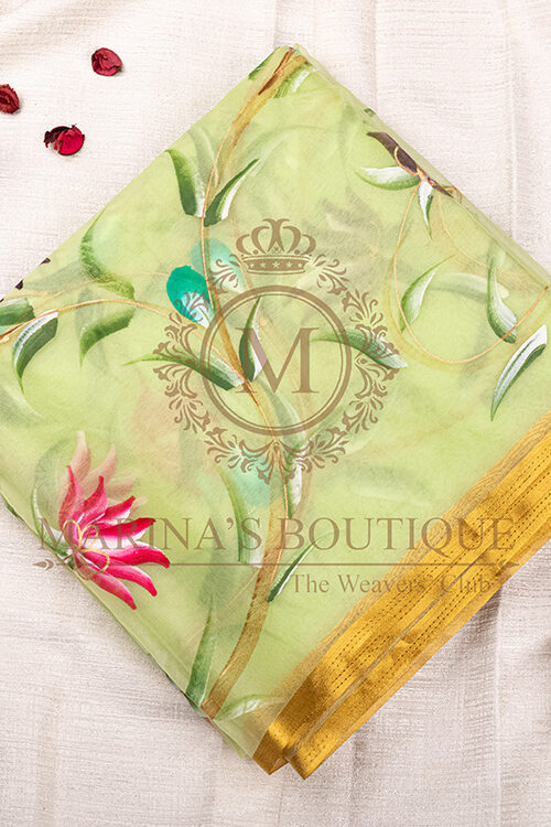Hand drawn painted organza saree with matching blouse